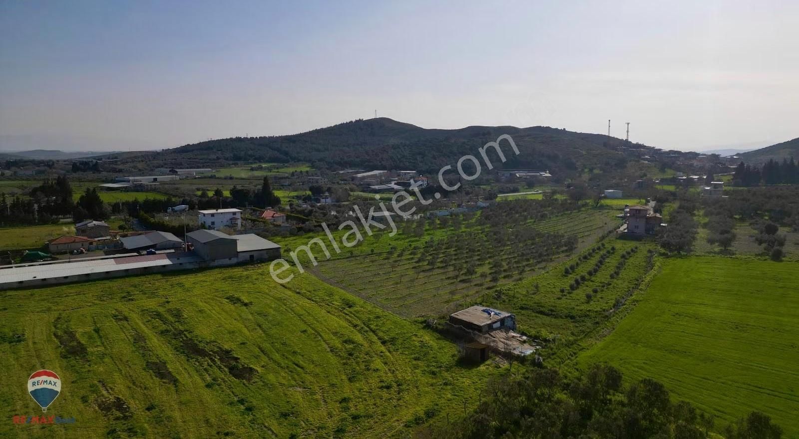 11 Foça Ilıpınarda 11814 M2 Yatırımlık Verımlı Tarla - Görsel 9
