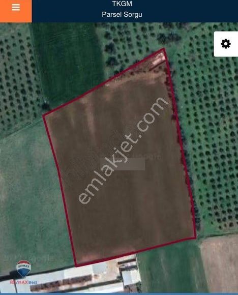 11 Foça Ilıpınarda 11814 M2 Yatırımlık Verımlı Tarla - Görsel 3