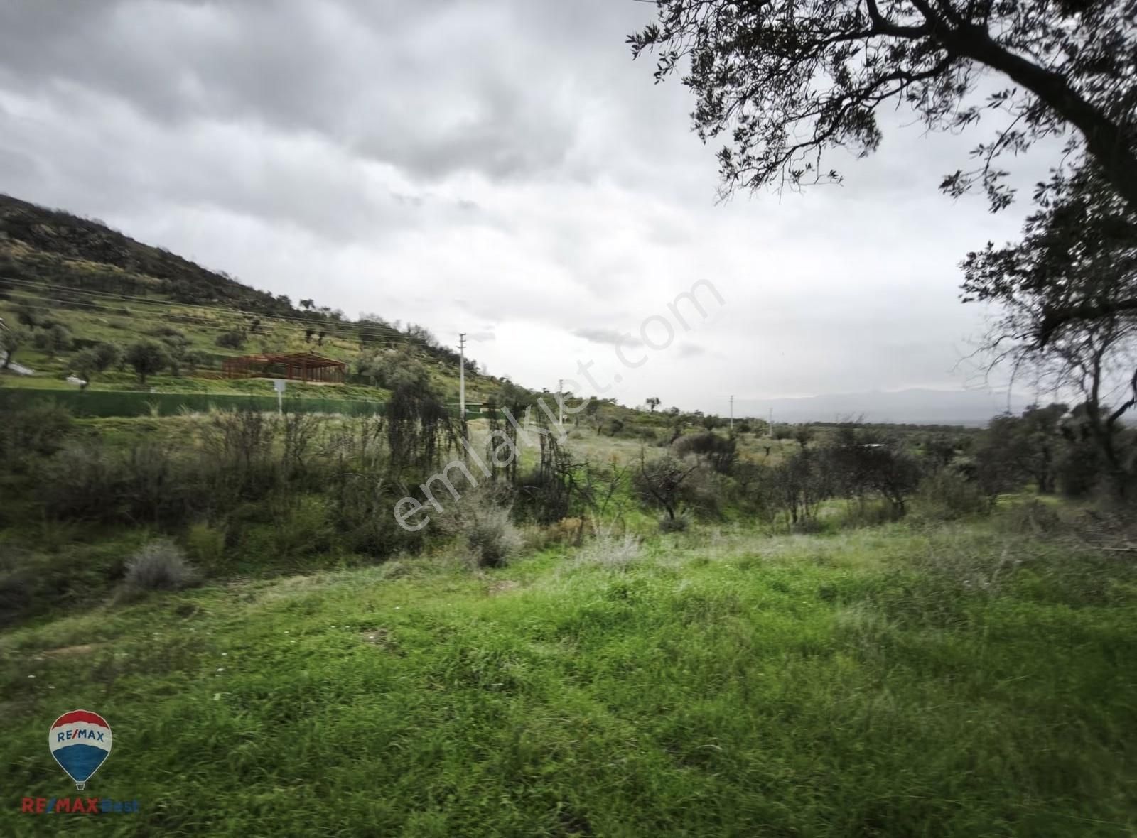 37 İzmır Bayındır Satılık Zeytınlık Tarla - Görsel 11