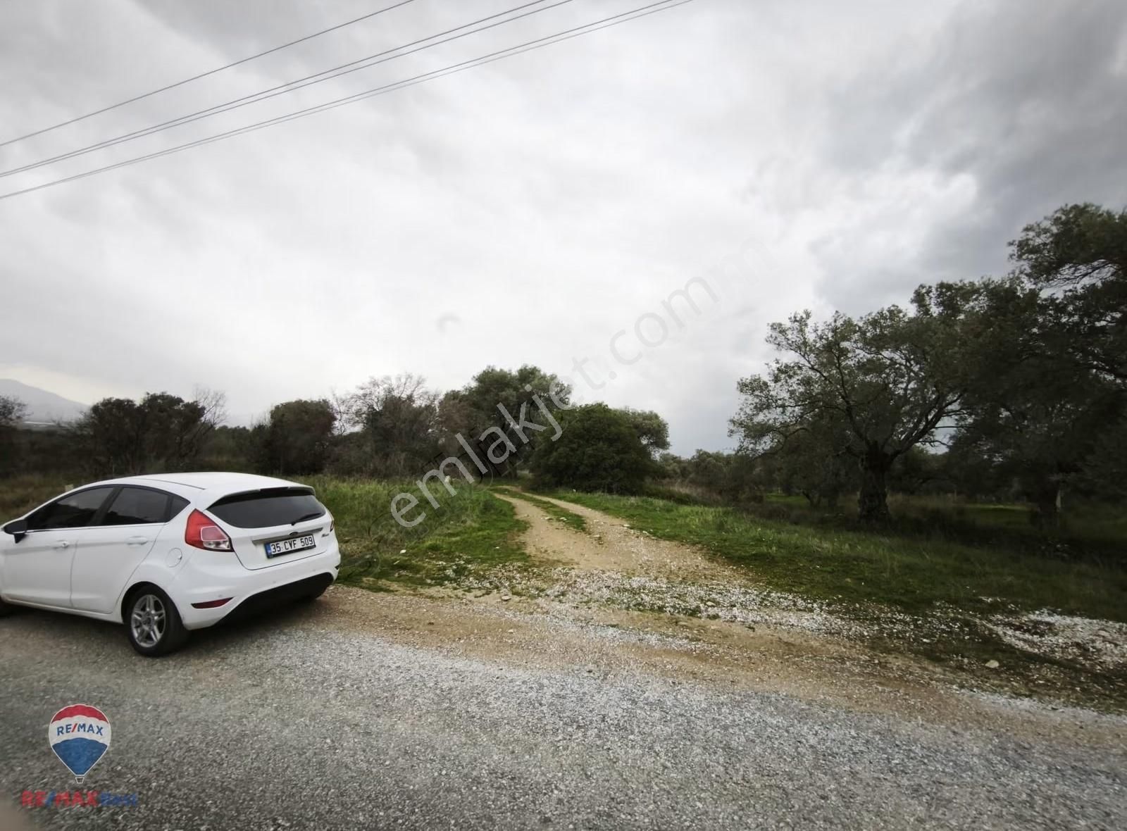 37 İzmır Bayındır Satılık Zeytınlık Tarla - Görsel 4