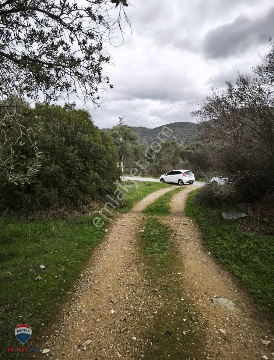 37 İzmır Bayındır Satılık Zeytınlık Tarla - Görsel 10