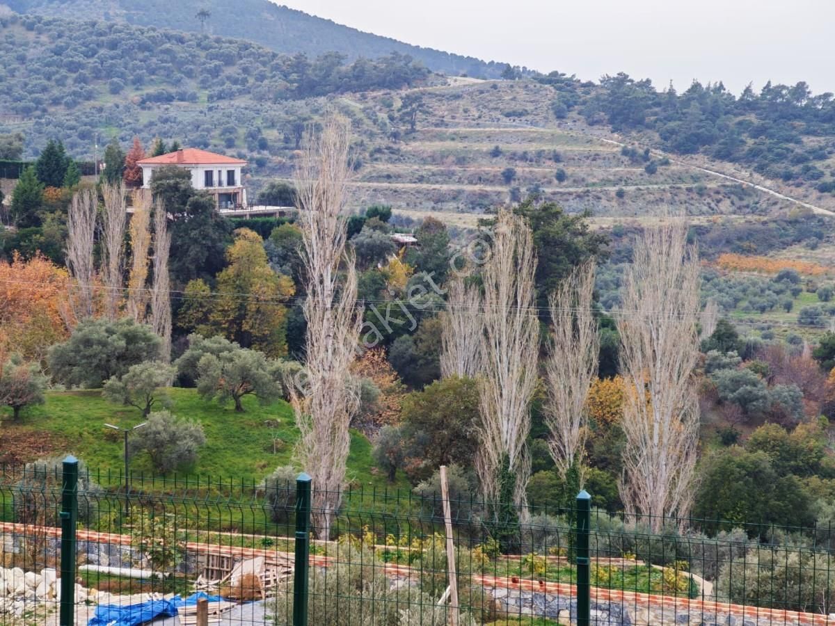 Şirincede Yatırımlık Çiftlik Evi Ve Arazisi - Görsel 28