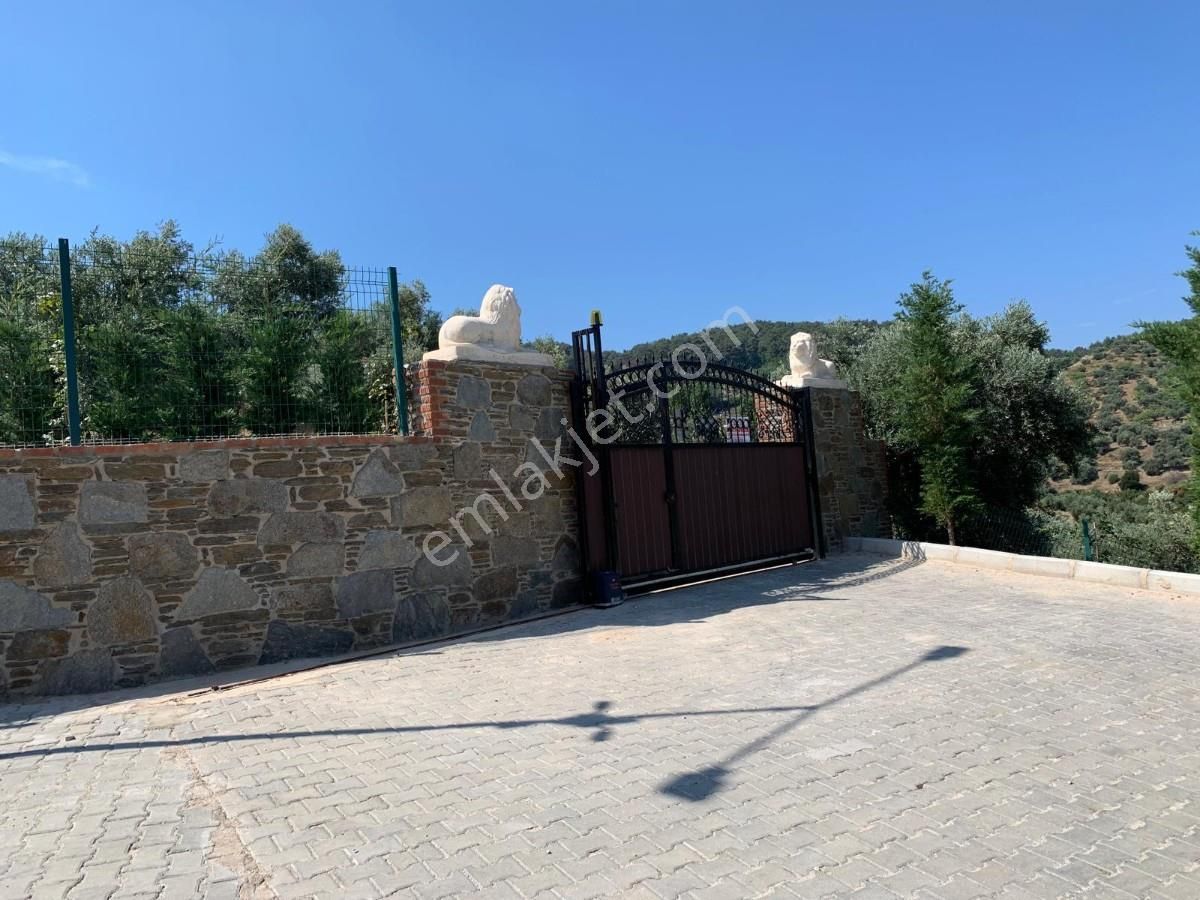 Şirincede Yatırımlık Çiftlik Evi Ve Arazisi - Görsel 8