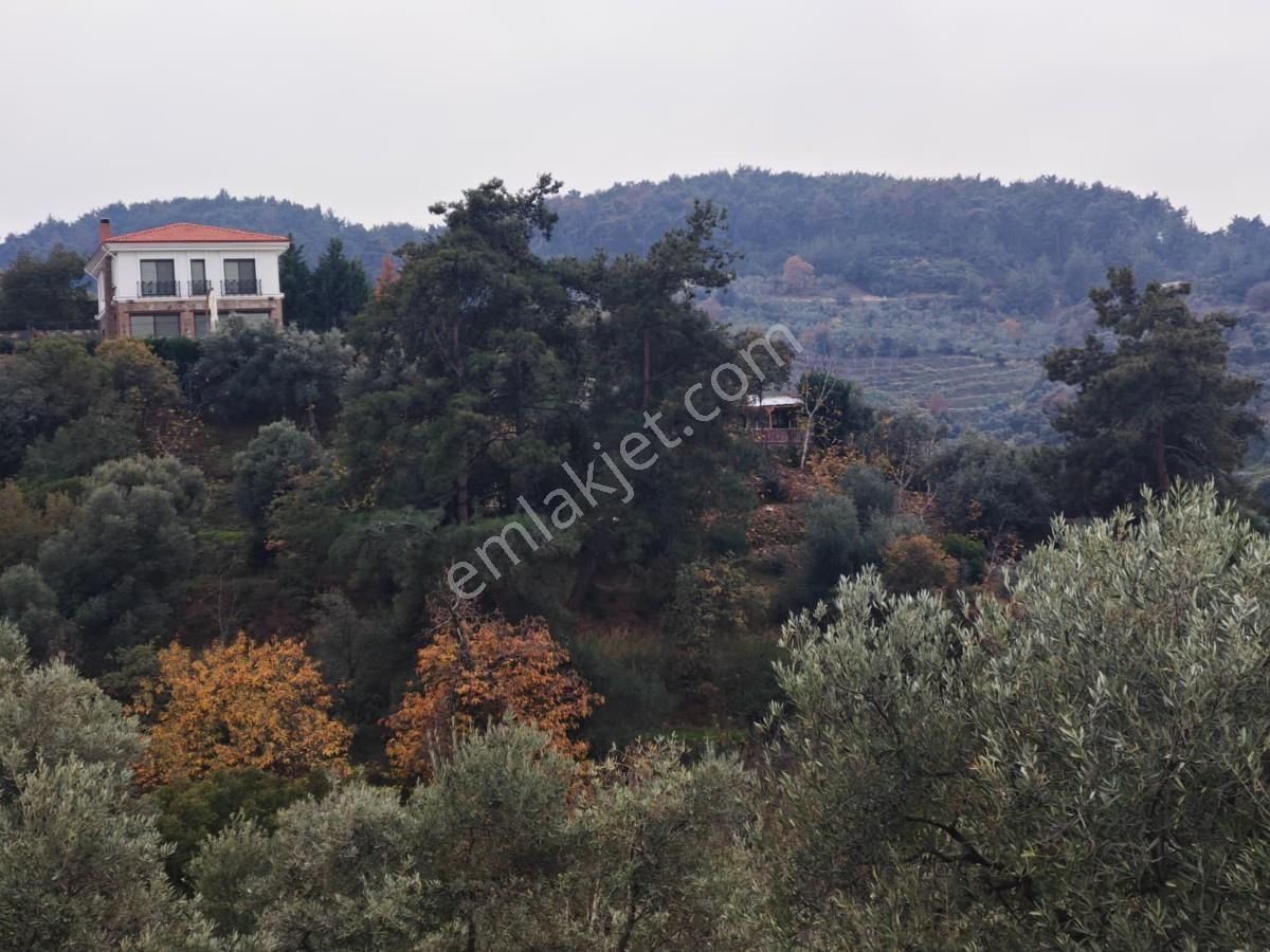 Şirincede Yatırımlık Çiftlik Evi Ve Arazisi - Görsel 13