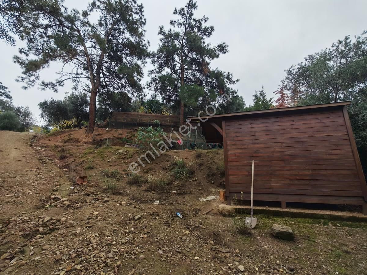 Şirincede Yatırımlık Çiftlik Evi Ve Arazisi - Görsel 15