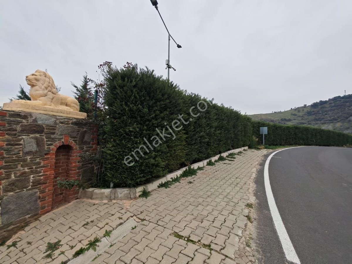 Şirincede Yatırımlık Çiftlik Evi Ve Arazisi - Görsel 9