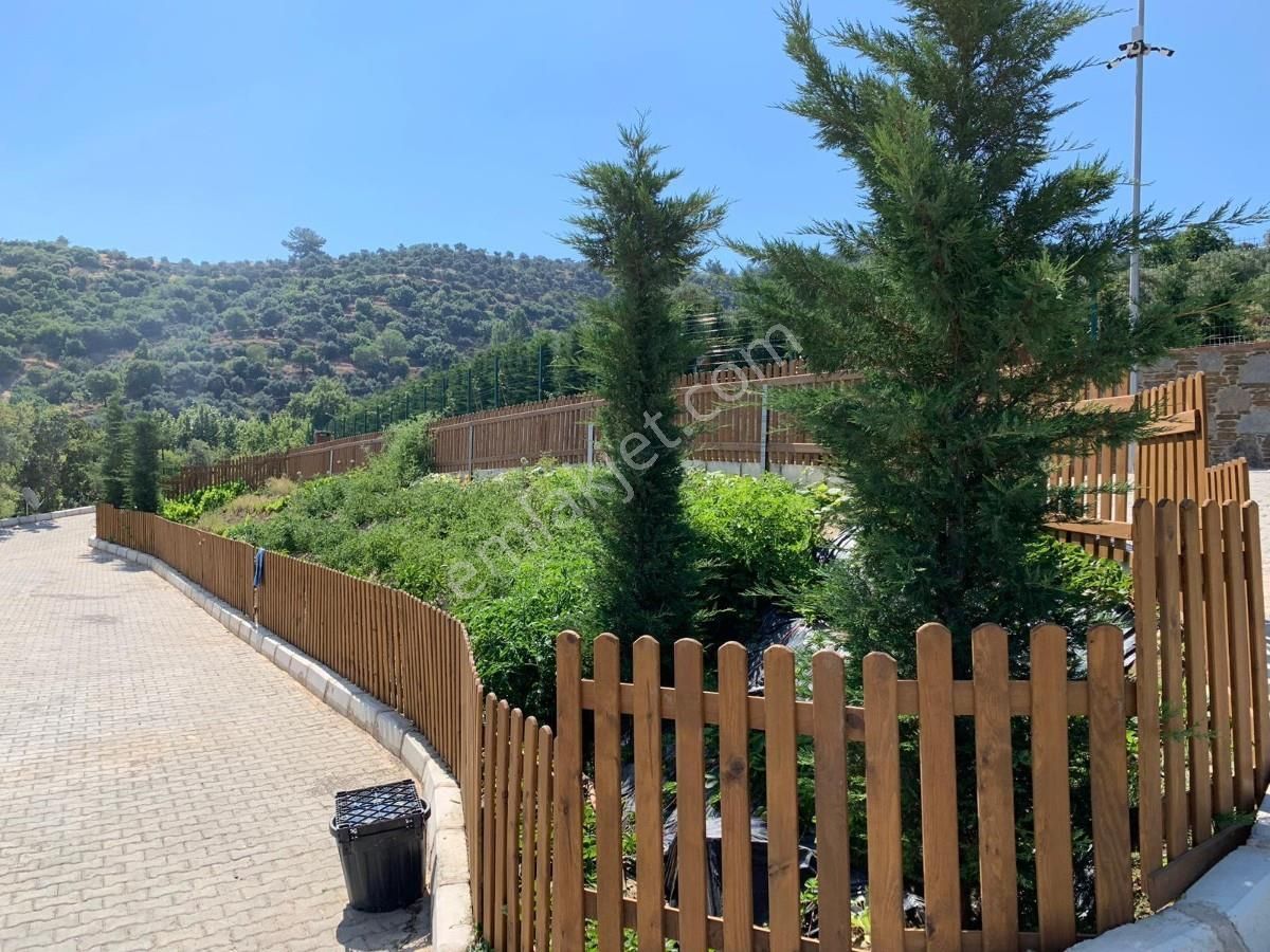 Şirincede Yatırımlık Çiftlik Evi Ve Arazisi - Görsel 4