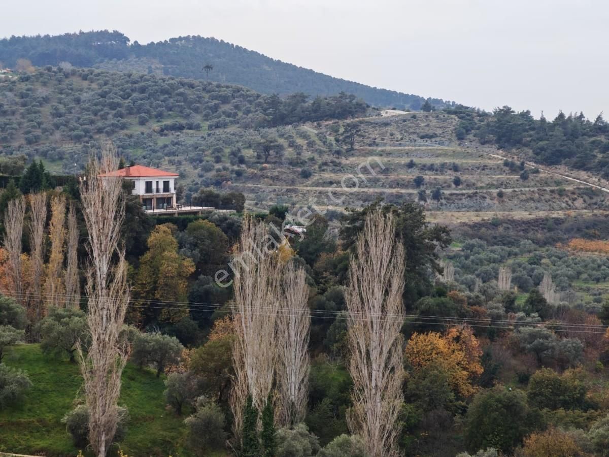 Şirincede Yatırımlık Çiftlik Evi Ve Arazisi - Görsel 30