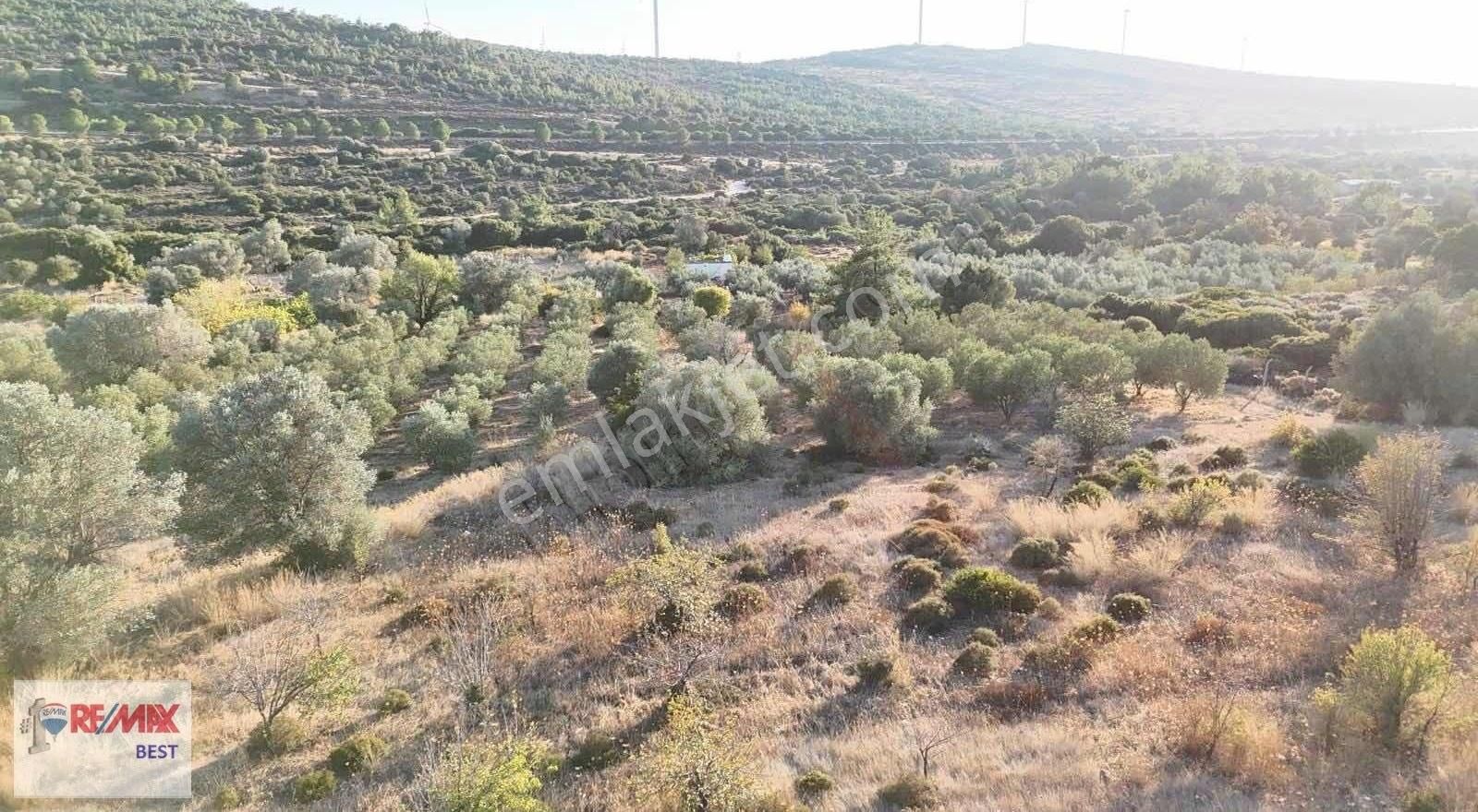 3 Hakan Büyük"ten Çeşme Alaçatı Karaköy Mevkiinde Yatırıma Uygun - Görsel 7