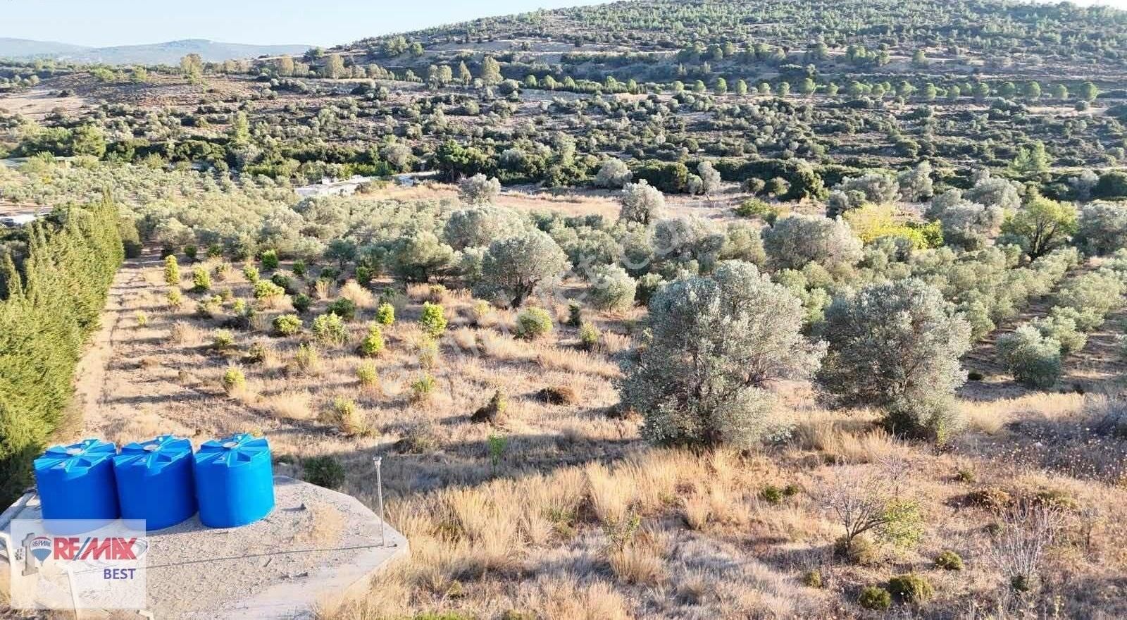 3 Hakan Büyük"ten Çeşme Alaçatı Karaköy Mevkiinde Yatırıma Uygun - Görsel 4