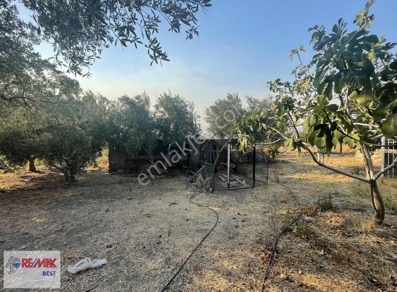 20 Emiralem Kır Mh. 3088 M2zeytin-meyve Bahçeli Satılık Tarla-ev - Görsel 11