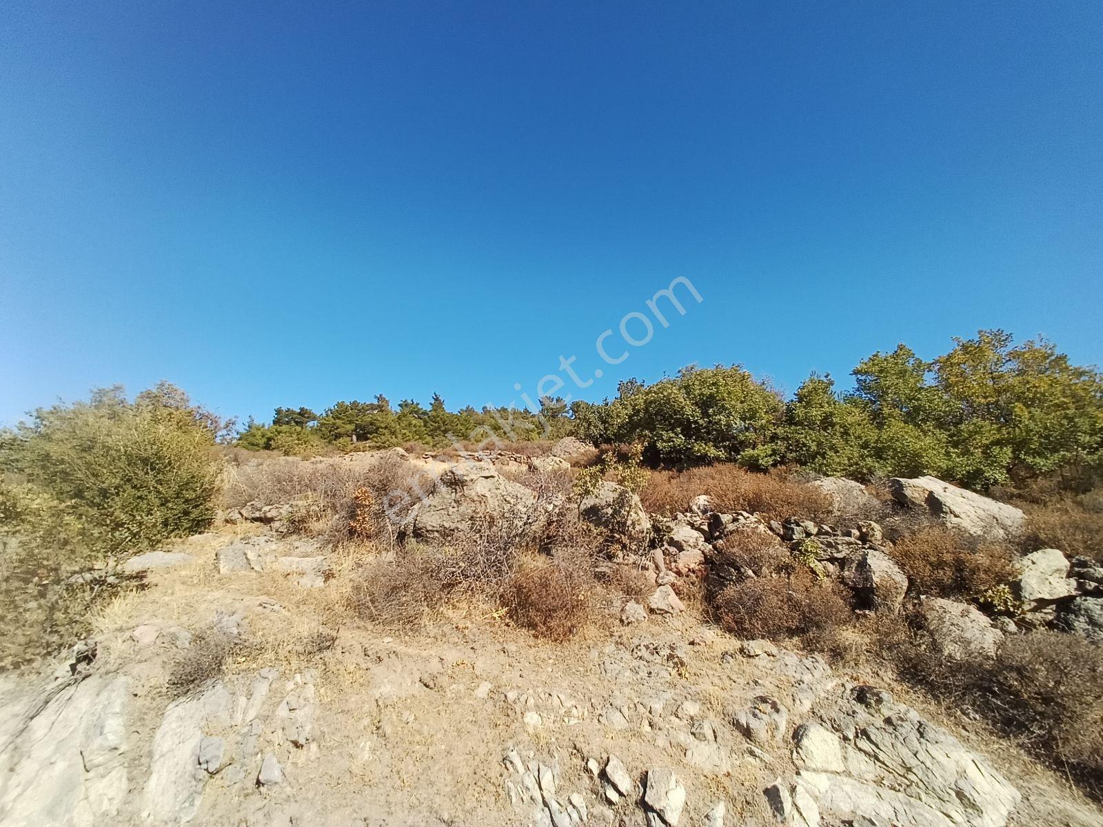 Burhaniye Çamtepe De Satılık 12 Dönüm Tarla - Görsel 15