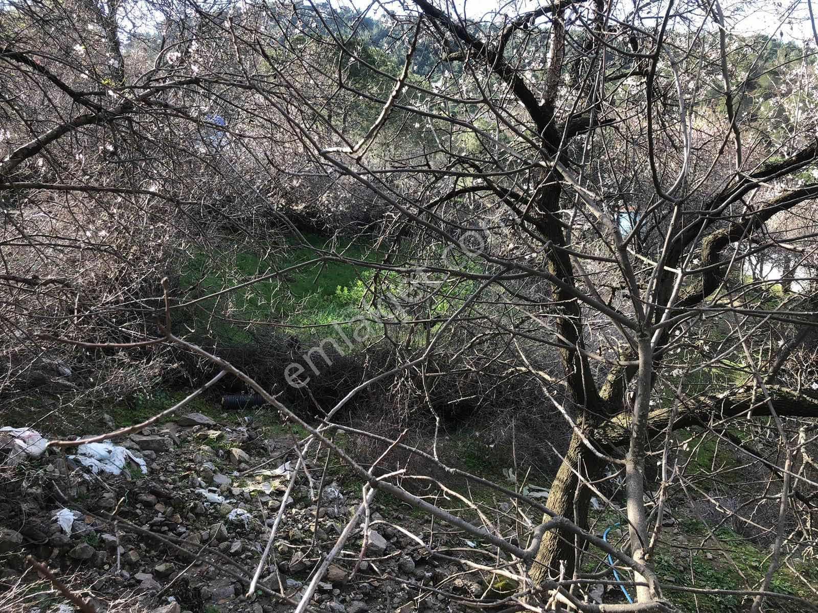 Burhaniye Yaylacık Mahallesinde Satılık Yatırımlık Arsa - Görsel 8