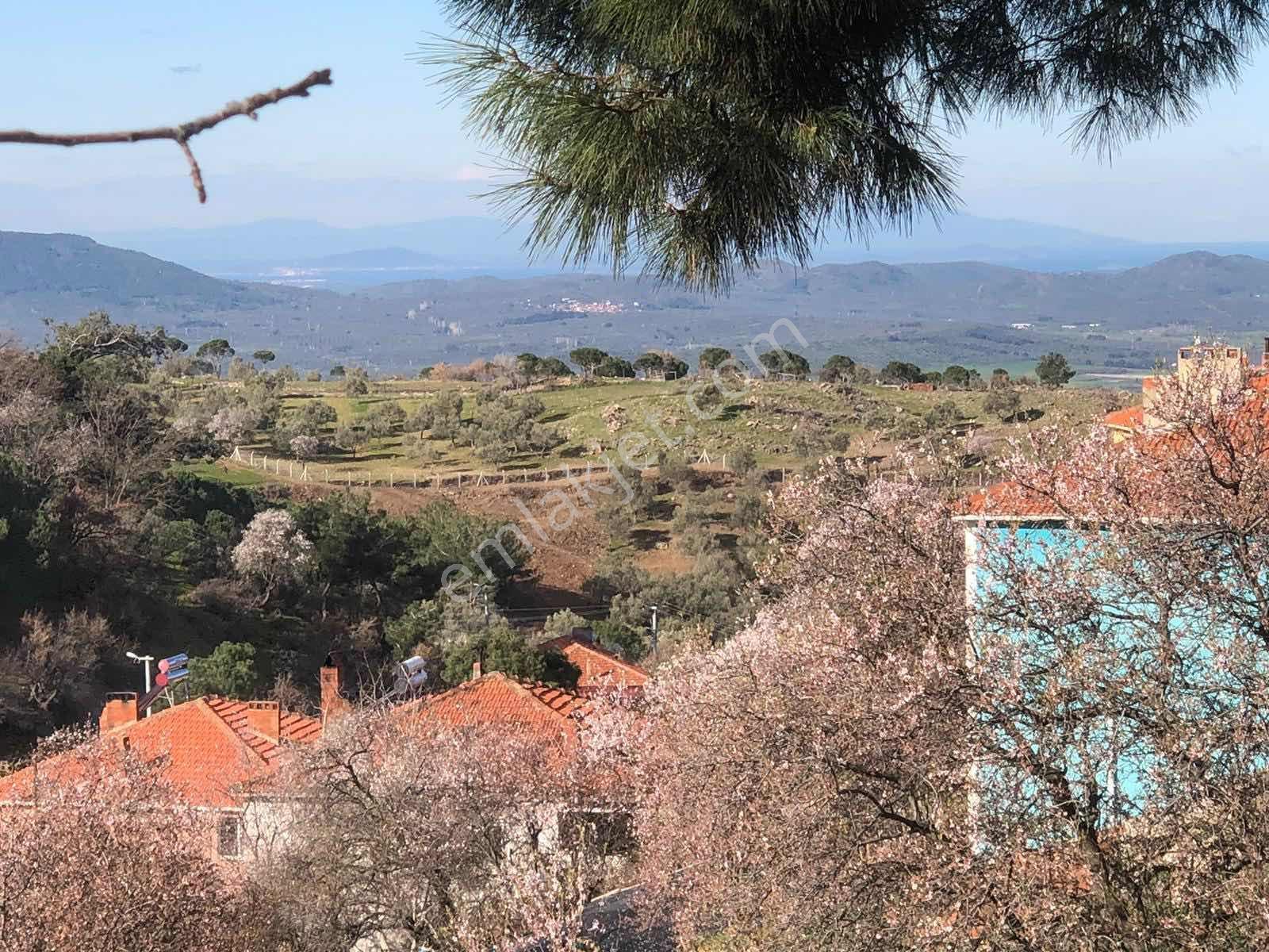 Burhaniye Yaylacık Mahallesinde Satılık Yatırımlık Arsa - Görsel 5
