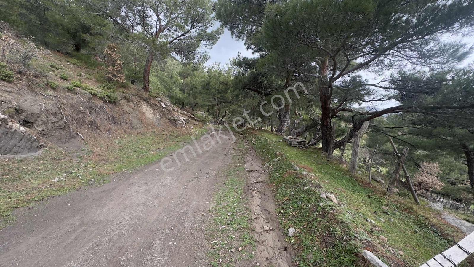 Burhaniye Çamtepe Mahallesinde Kadastro Yola Cepheli Tarla