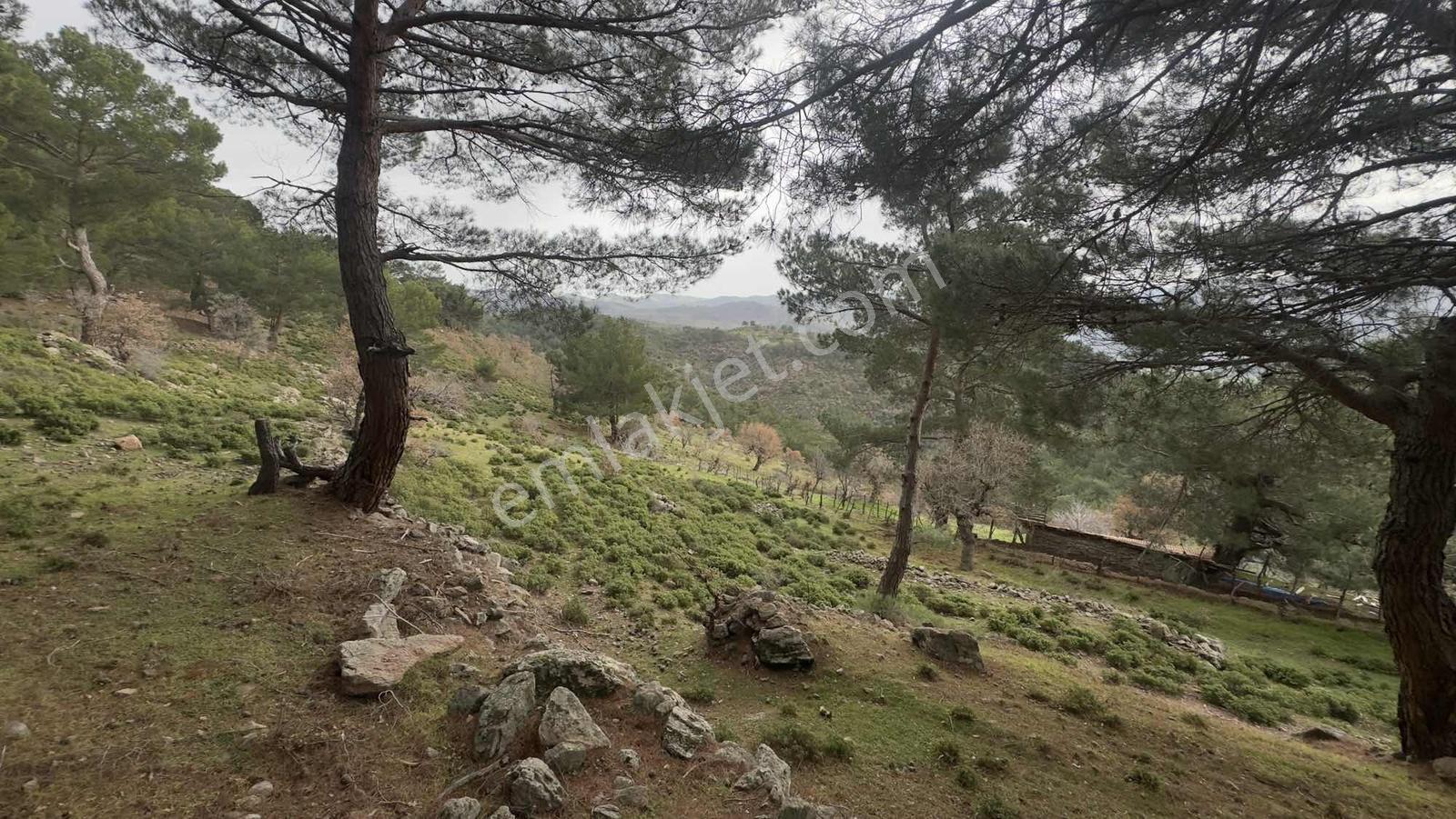 Burhaniye Çamtepe Mahallesinde Kadastro Yola Cepheli Tarla - Görsel 29