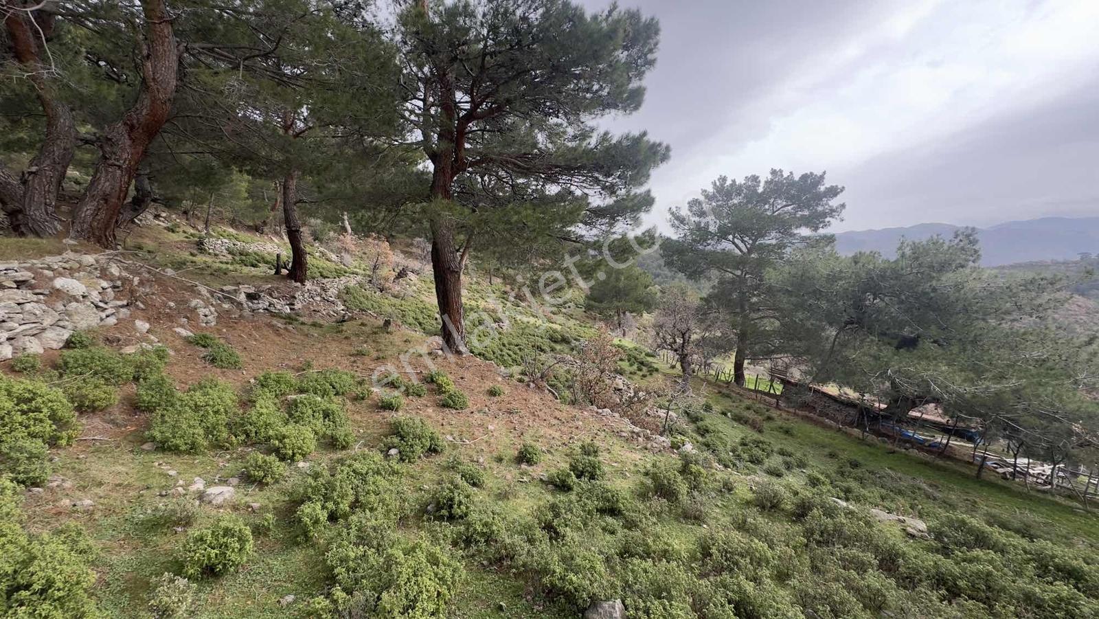 Burhaniye Çamtepe Mahallesinde Kadastro Yola Cepheli Tarla - Görsel 34