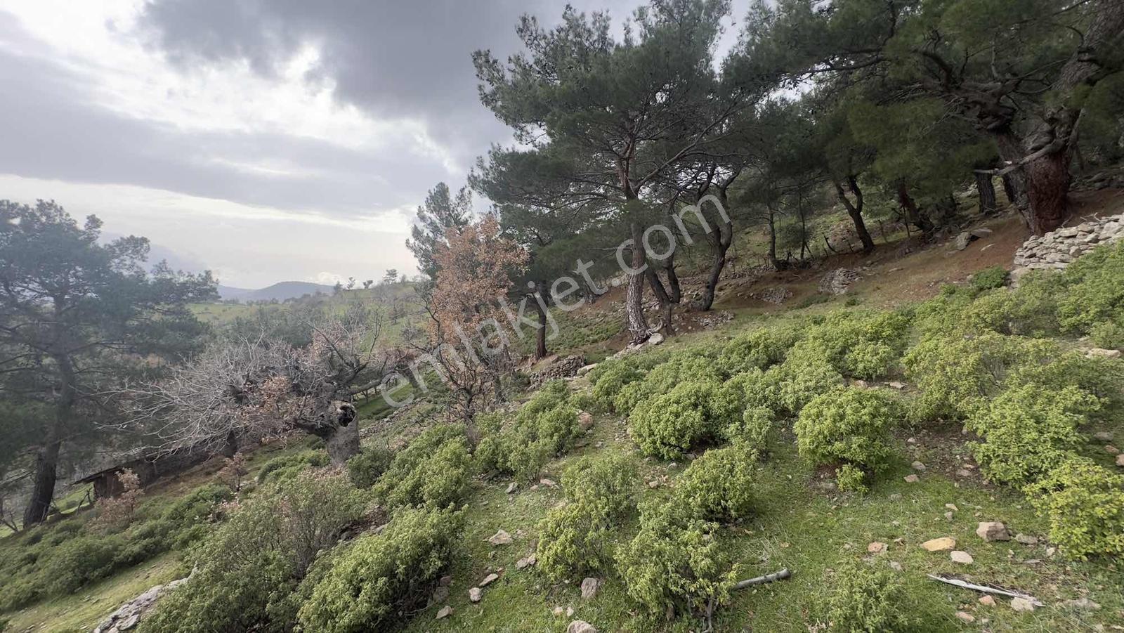 Burhaniye Çamtepe Mahallesinde Kadastro Yola Cepheli Tarla - Görsel 25