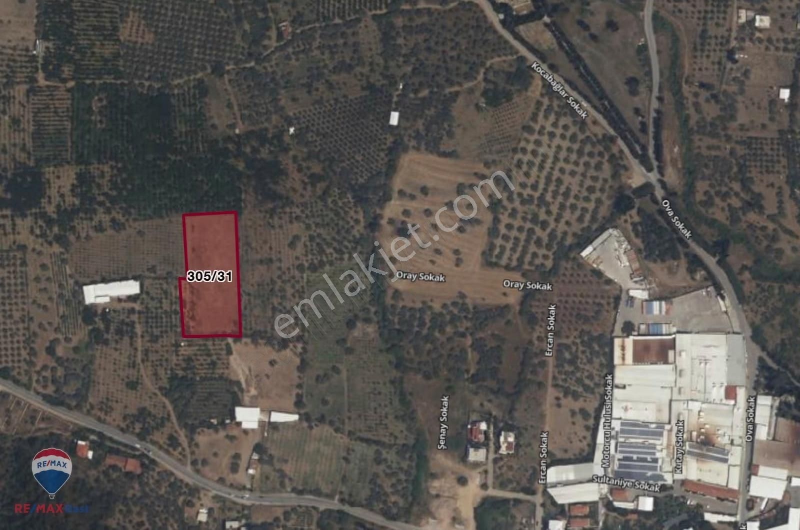 28 İzmir Kemalpaşa 75. Yıl Ören Mh. 6046 M2 Bağ Tarla - Görsel 3