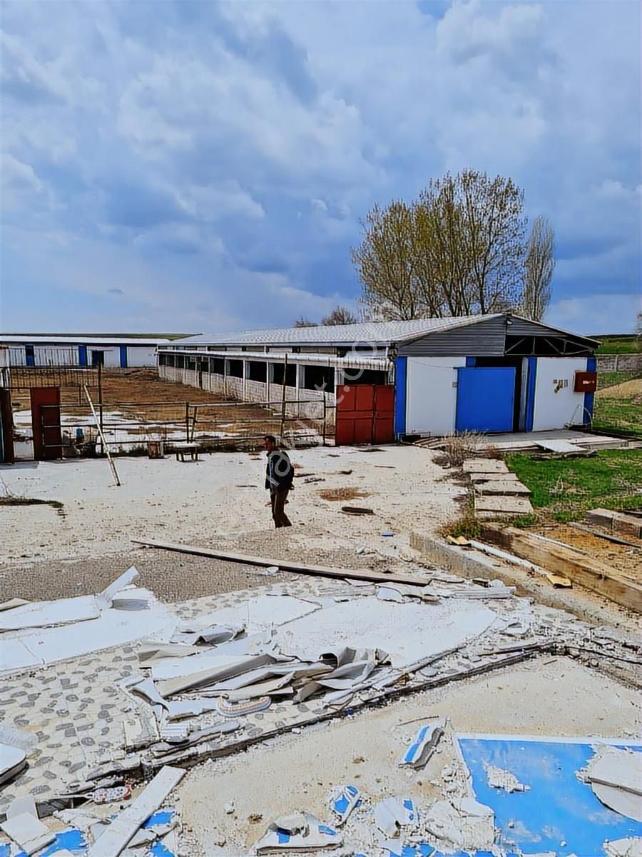 Metin Gönülalan'dan Satılık Belediye Onaylı Çiftlik - Görsel 3