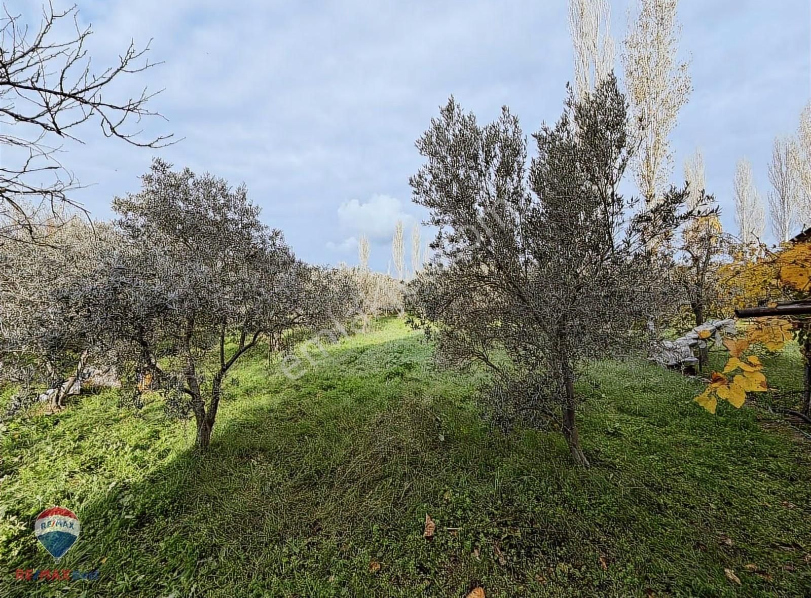 23 Remax Best Ofisinden 2646 M2 Arsa İçinde Satılık Müstakil Ev - Görsel 14