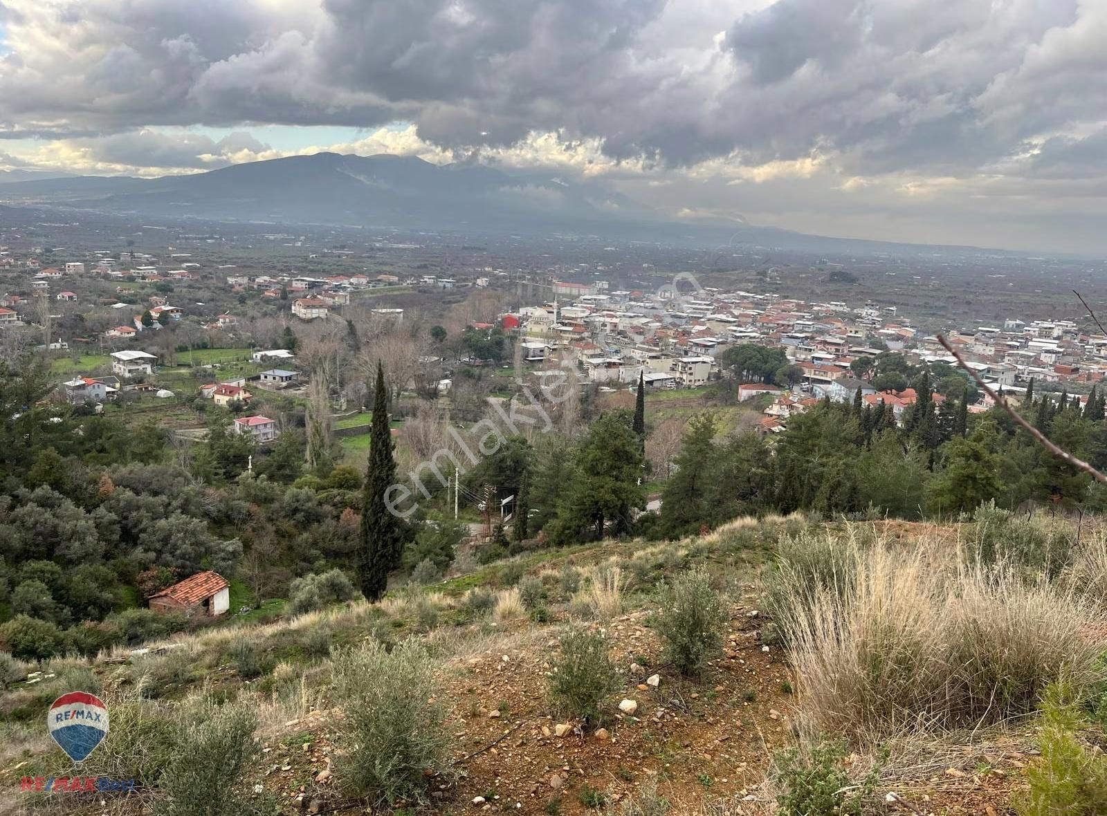 24 Kemalpaşa Yiğitlerde Teraslanmış, Manzaralı Zeytinlik - Görsel 11