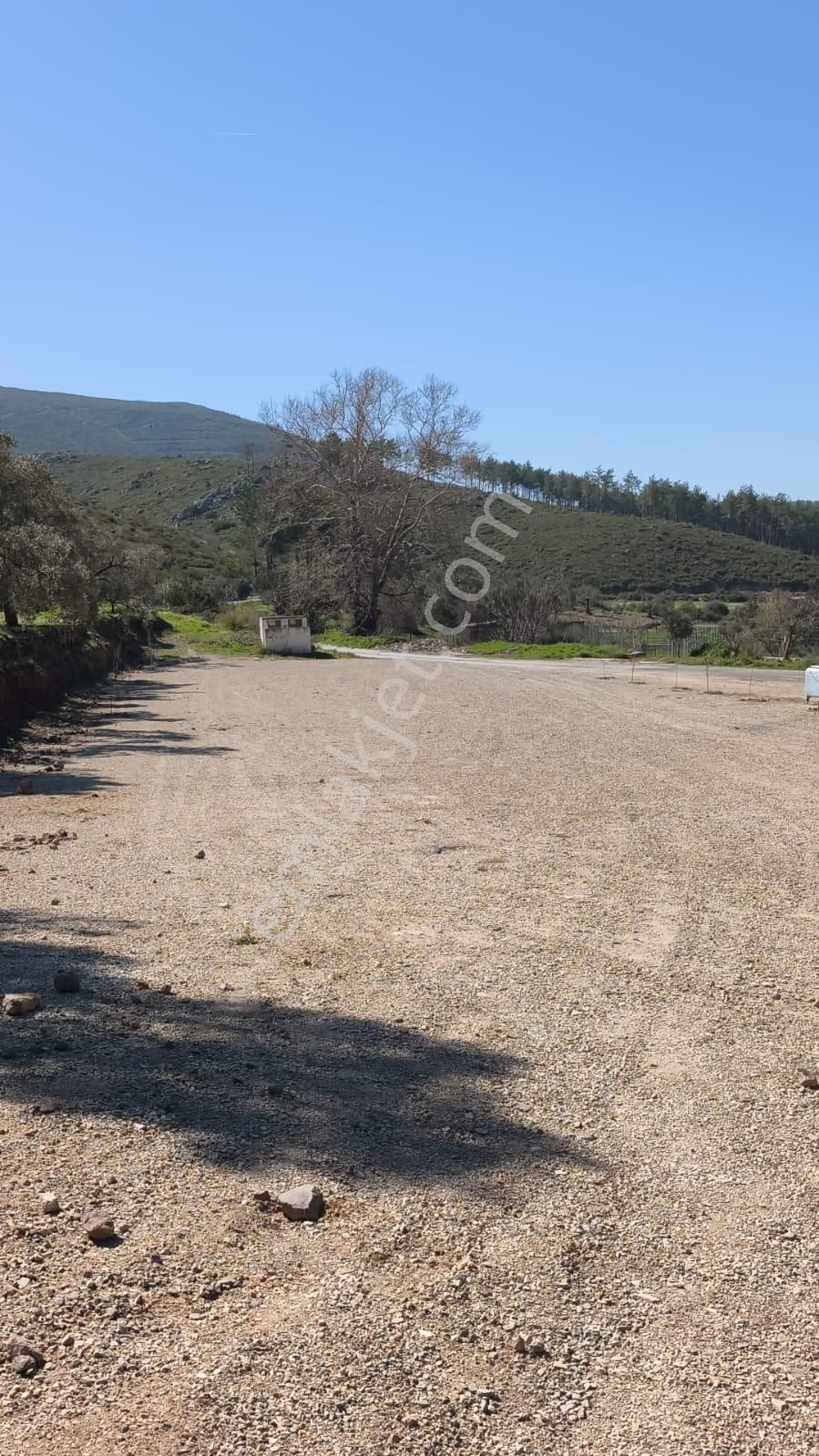 Bodrum-gökpınar Köyünde Satılık Yatırımlık Fırsat Tarla - Görsel 14