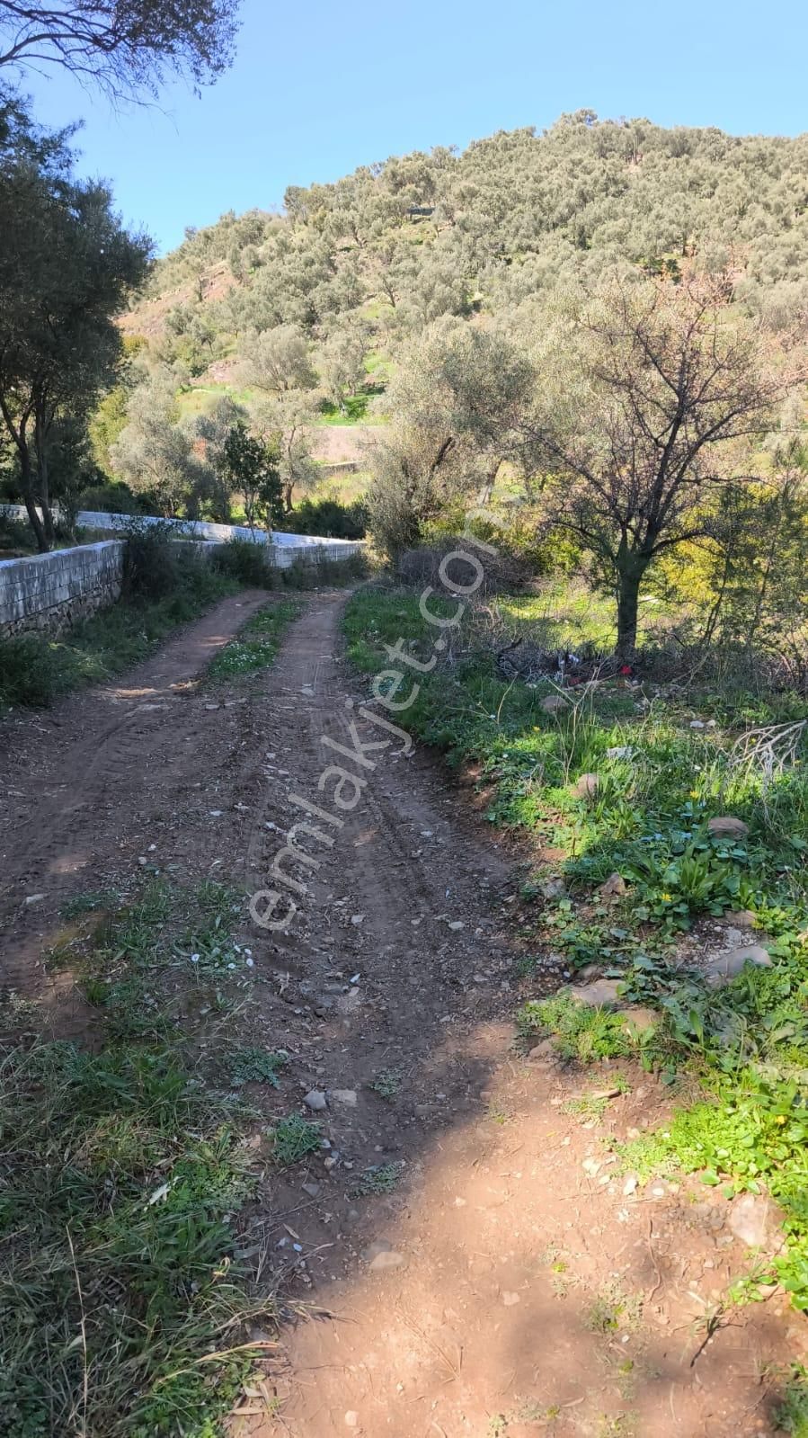 Bodrum-gökpınar Köyünde Satılık Yatırımlık Fırsat Tarla - Görsel 4