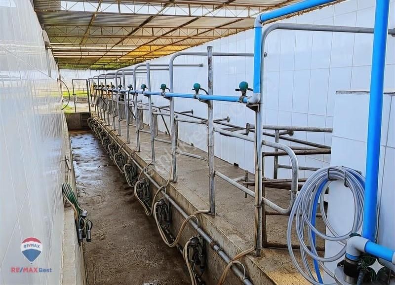 42 Ödemış Satılık Besı Çıftlığı - Görsel 7