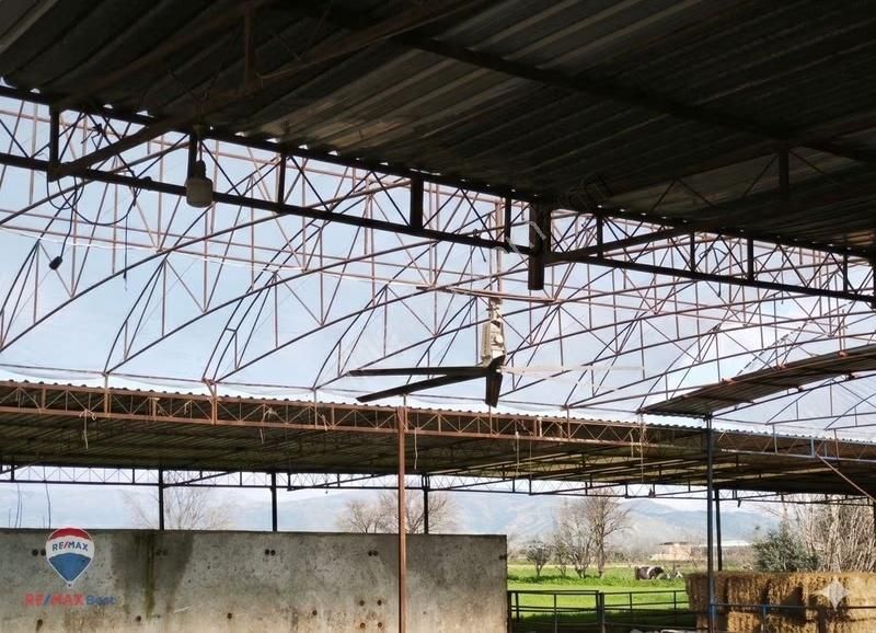 42 Ödemış Satılık Besı Çıftlığı - Görsel 9