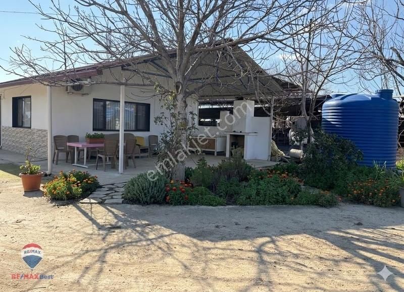 42 Ödemış Satılık Besı Çıftlığı