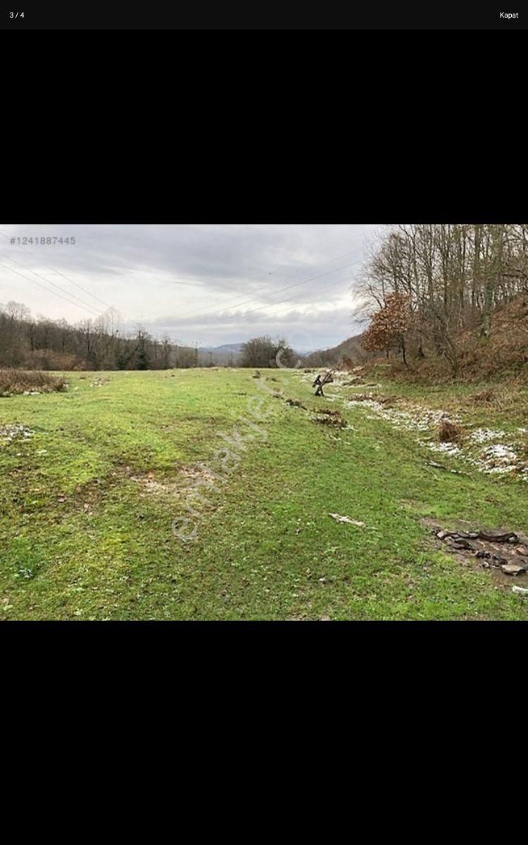 Agva Ve Şilenin Ortasında - Görsel 2