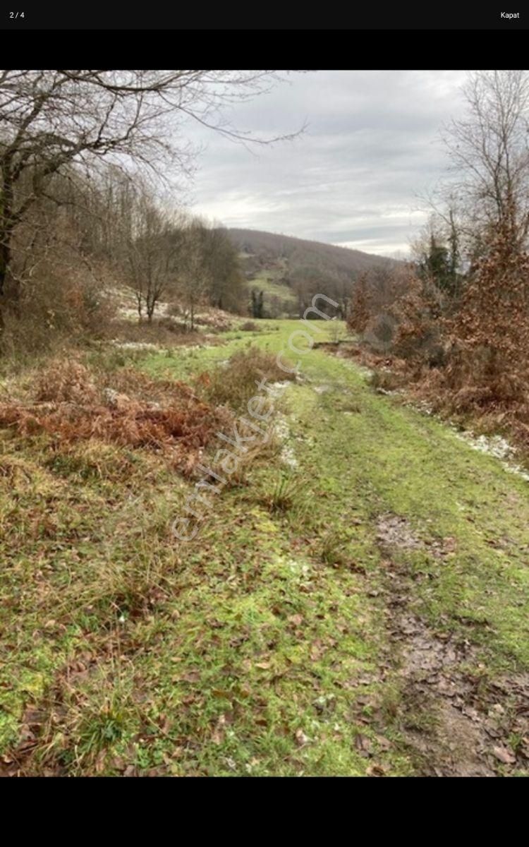 Agva Ve Şilenin Ortasında - Görsel 3