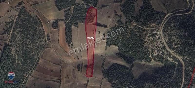 3 Manisa Kula Esenyazı'da 11.948 M² Satılık Tarla - Görsel 2