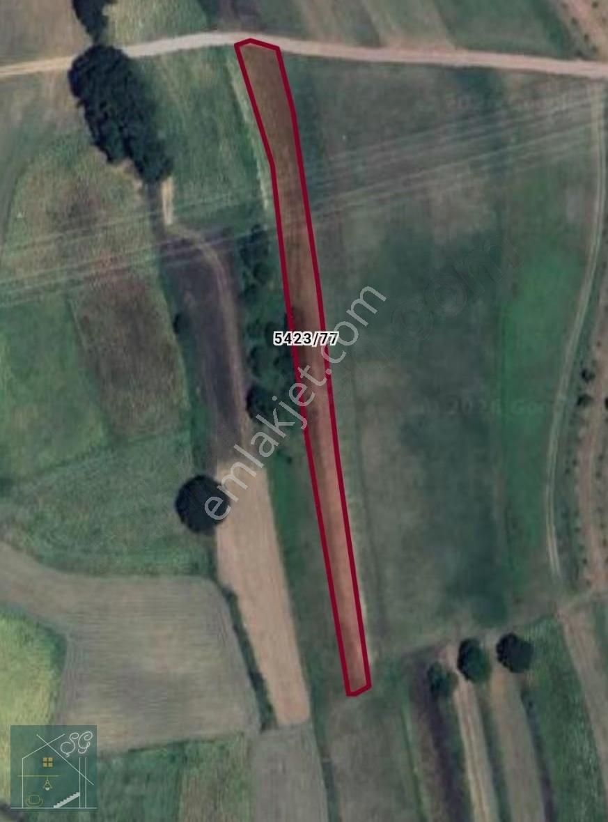 Salmanlı Göle Yakın Yol Kenarı Elektrık Var Satılık Tarla