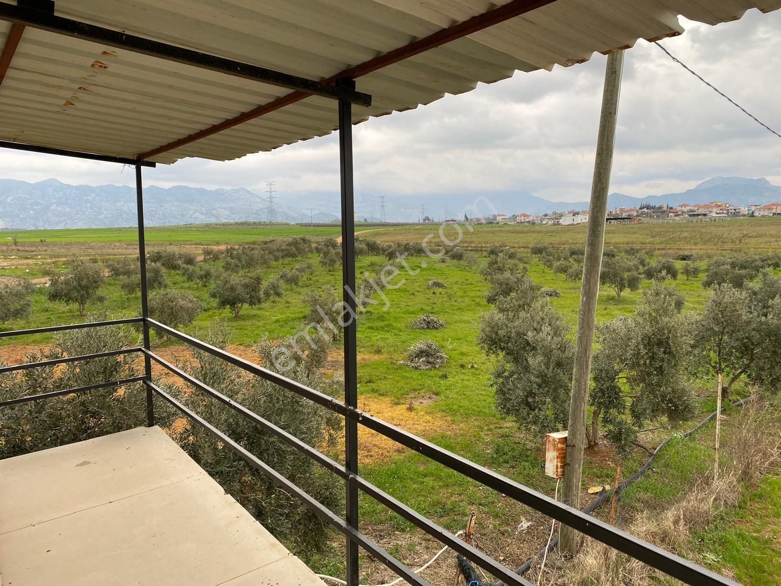 Prefabrik Evli, 200 Zeytin Ağaçlı Yatırımlık Tarla – Döşemealtı Karataş - Görsel 4