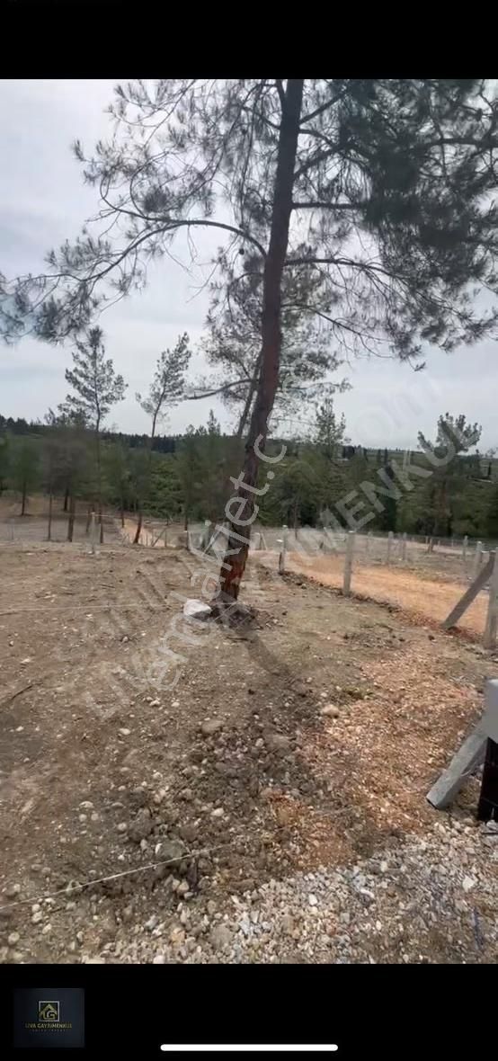 Torbalı Demirci Köyü Manzaralı Satılık Arsa 250m² Hazır Altyapı