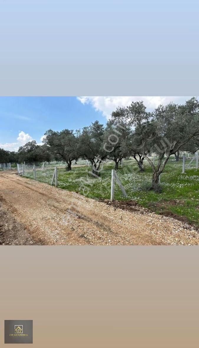 Torbalı Demirci Köyü Manzaralı Satılık Arsa 250m² Hazır Altyapı - Görsel 4