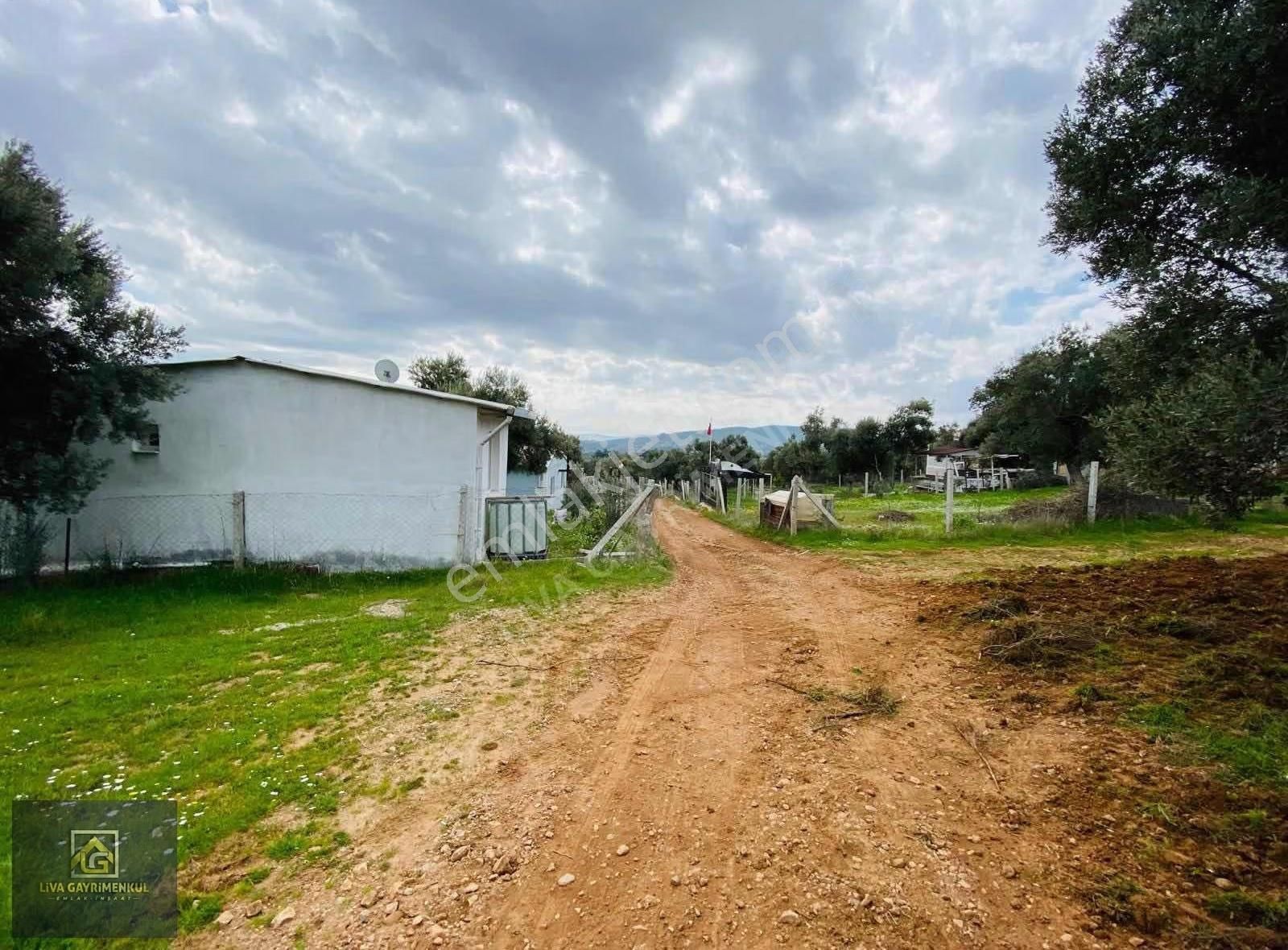 Torbalı Dağkızılca'da Satılık 250m² Arsa - Yatırım Fırsatı! - Görsel 3