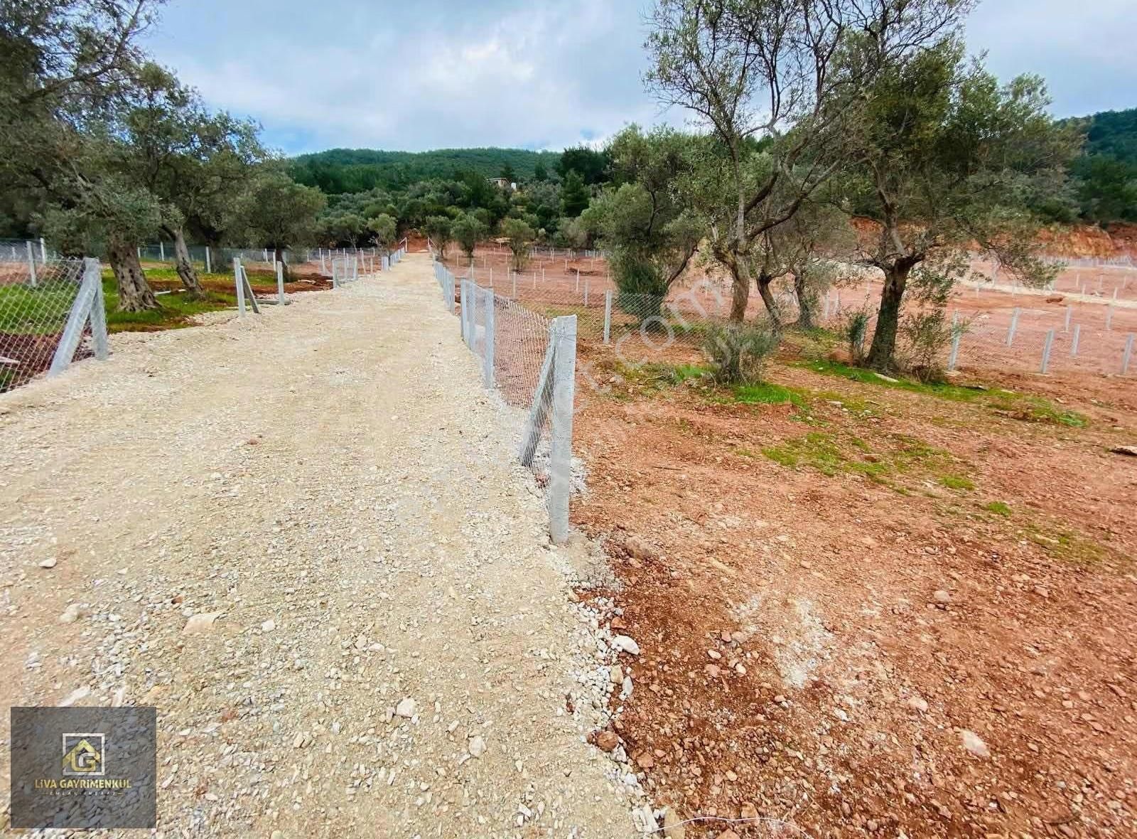 Torbalı Dağkızılca'da Satılık 250m² Arsa - Yatırım Fırsatı! - Görsel 8