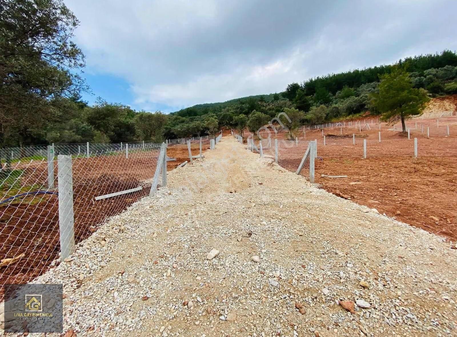 Torbalı Dağkızılca'da Satılık 250m² Arsa - Yatırım Fırsatı! - Görsel 4