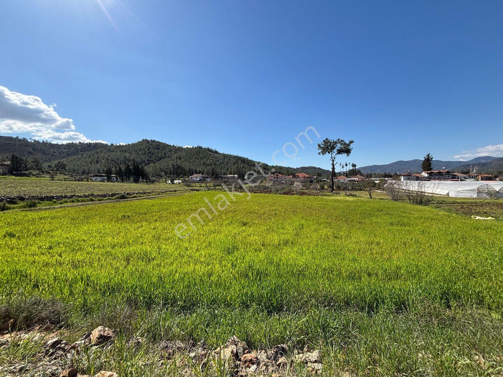 Seydikemer Sahil Zorlar Da Ana Yola Yakın 1546 M2 Arazi - Görsel 31