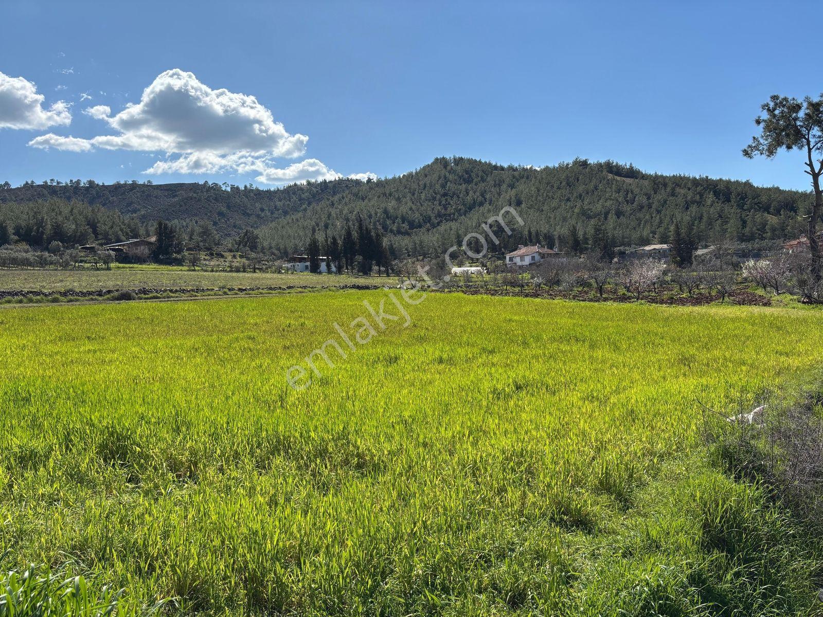 Seydikemer Sahil Zorlar Da Ana Yola Yakın 1546 M2 Arazi - Görsel 14