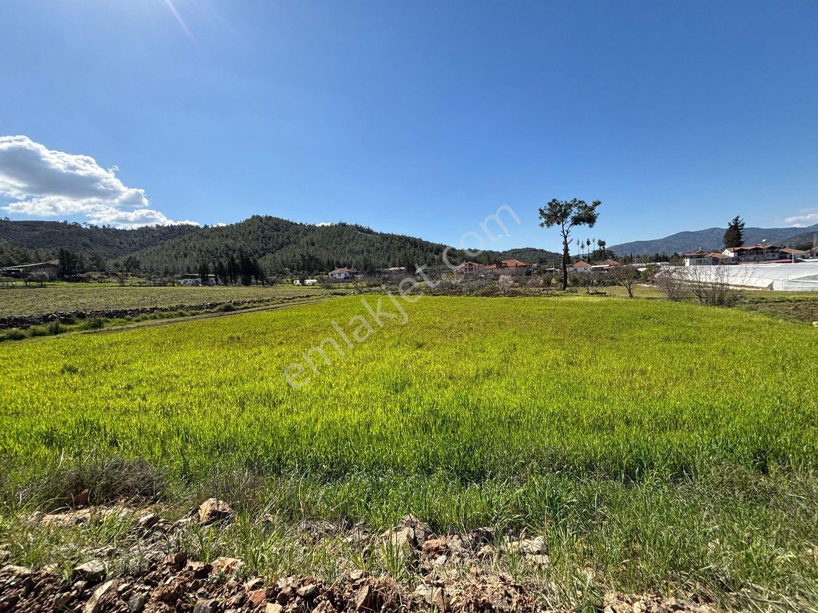 Seydikemer Sahil Zorlar Da Ana Yola Yakın 1546 M2 Arazi - Görsel 36