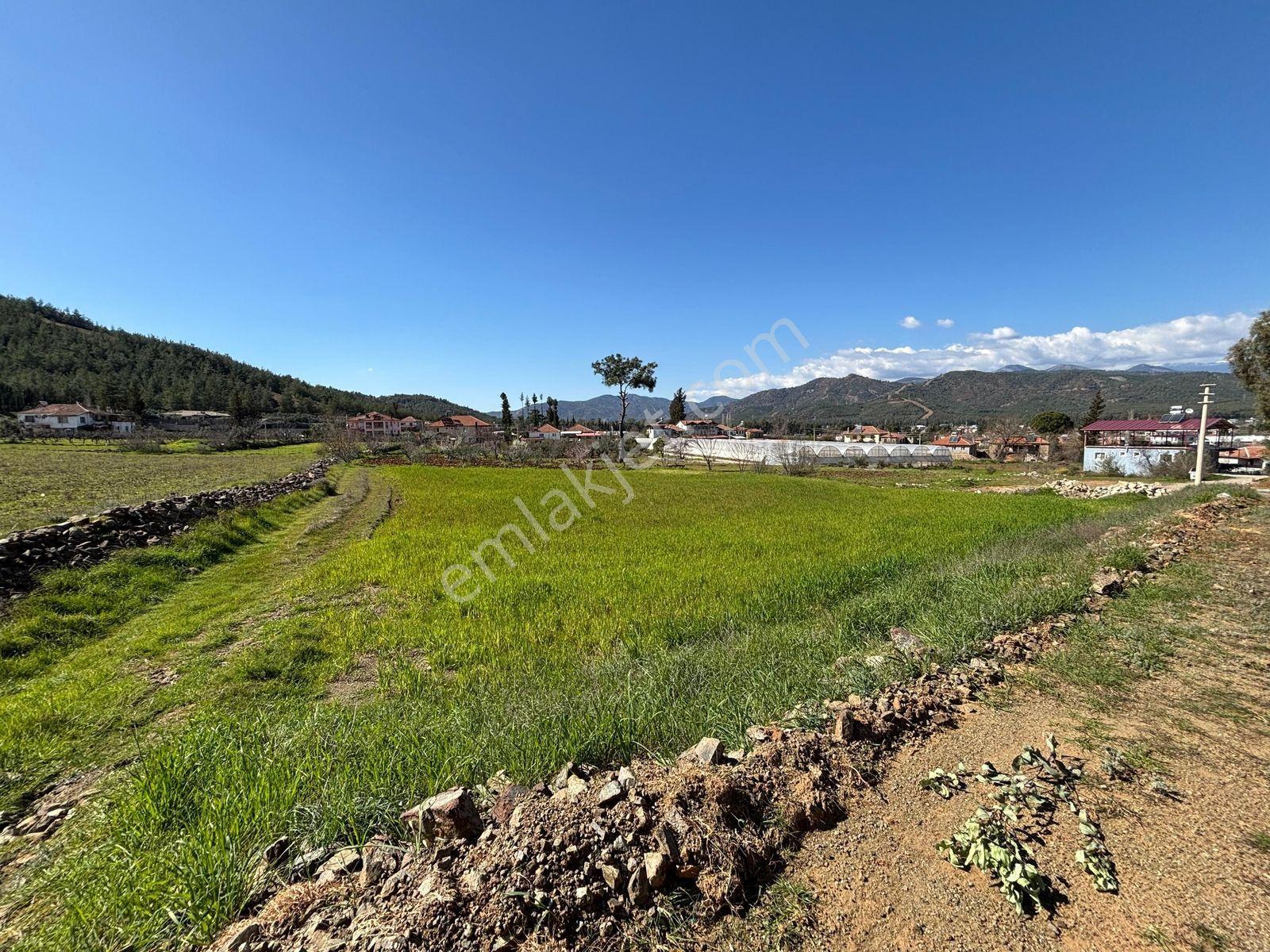 Seydikemer Sahil Zorlar Da Ana Yola Yakın 1546 M2 Arazi - Görsel 10