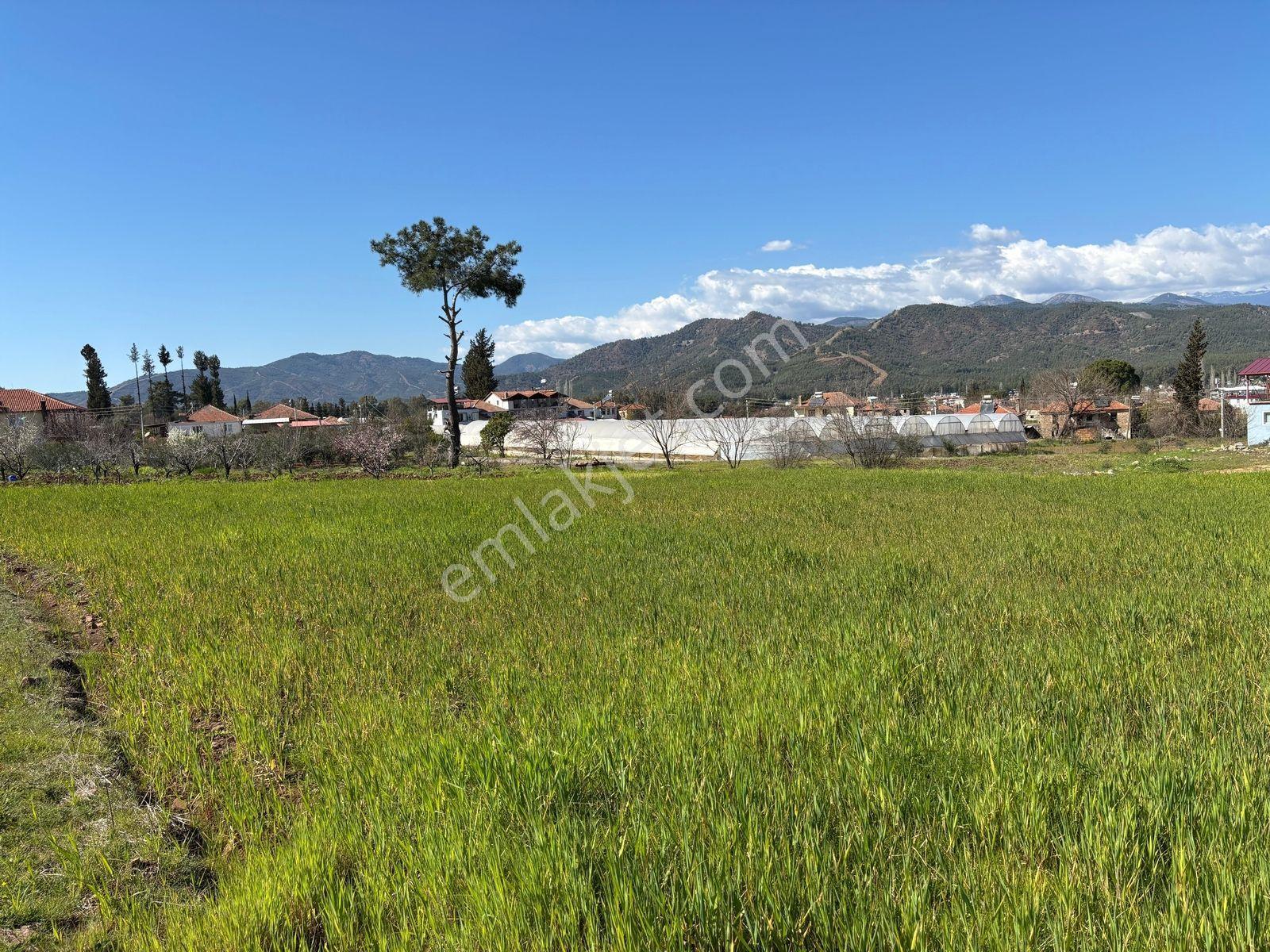 Seydikemer Sahil Zorlar Da Ana Yola Yakın 1546 M2 Arazi - Görsel 16