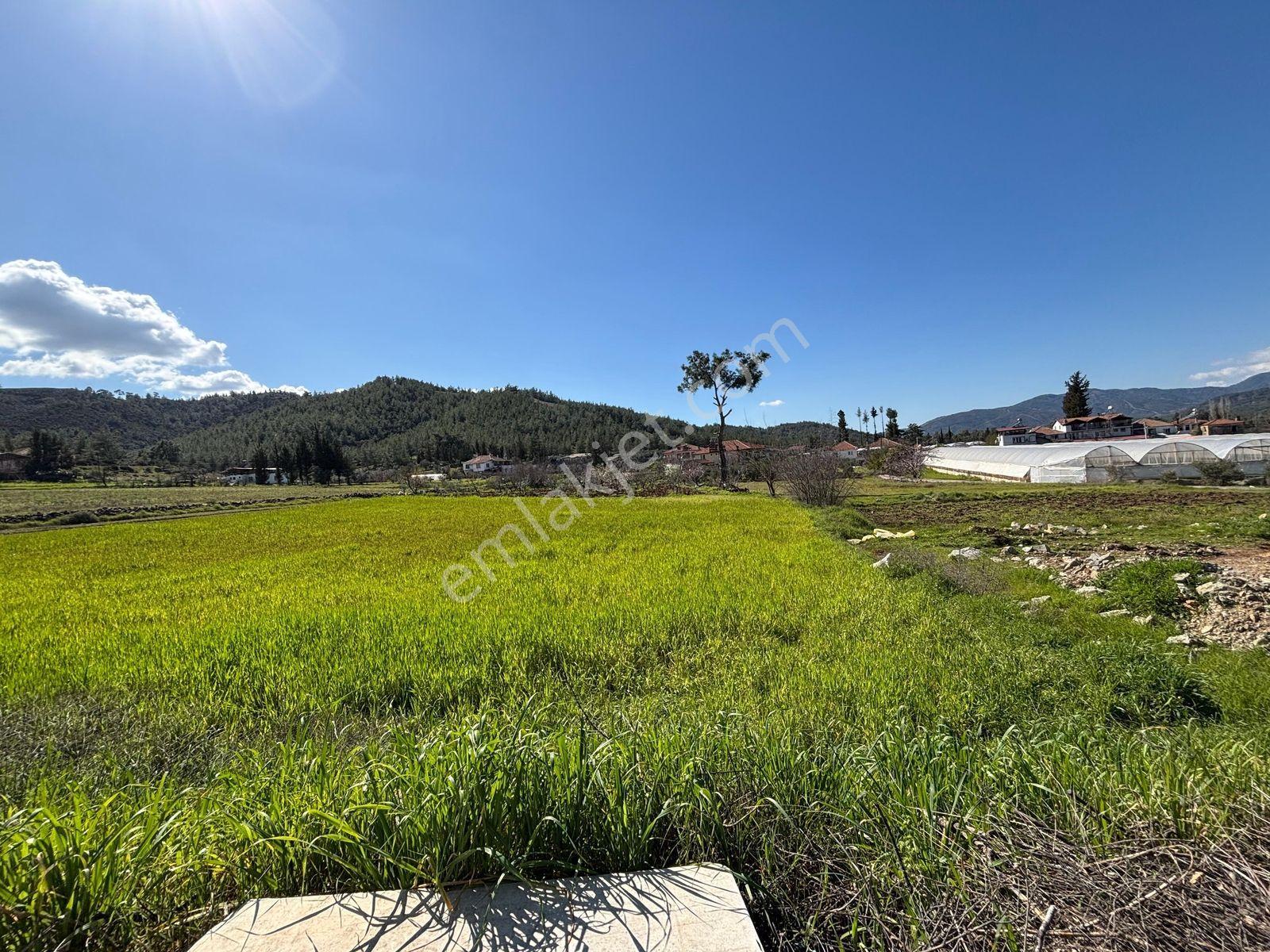 Seydikemer Sahil Zorlar Da Ana Yola Yakın 1546 M2 Arazi - Görsel 32