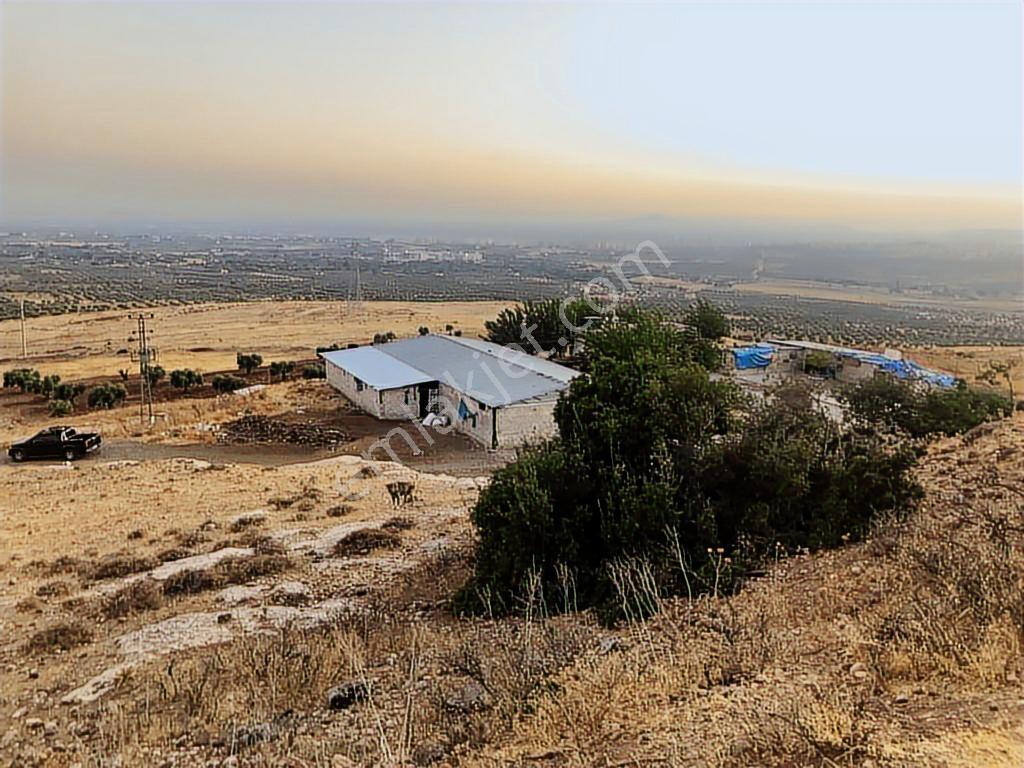 Kilis Merkez Kuskunkıran Da Yüksek Konumlu Arazi - Görsel 17