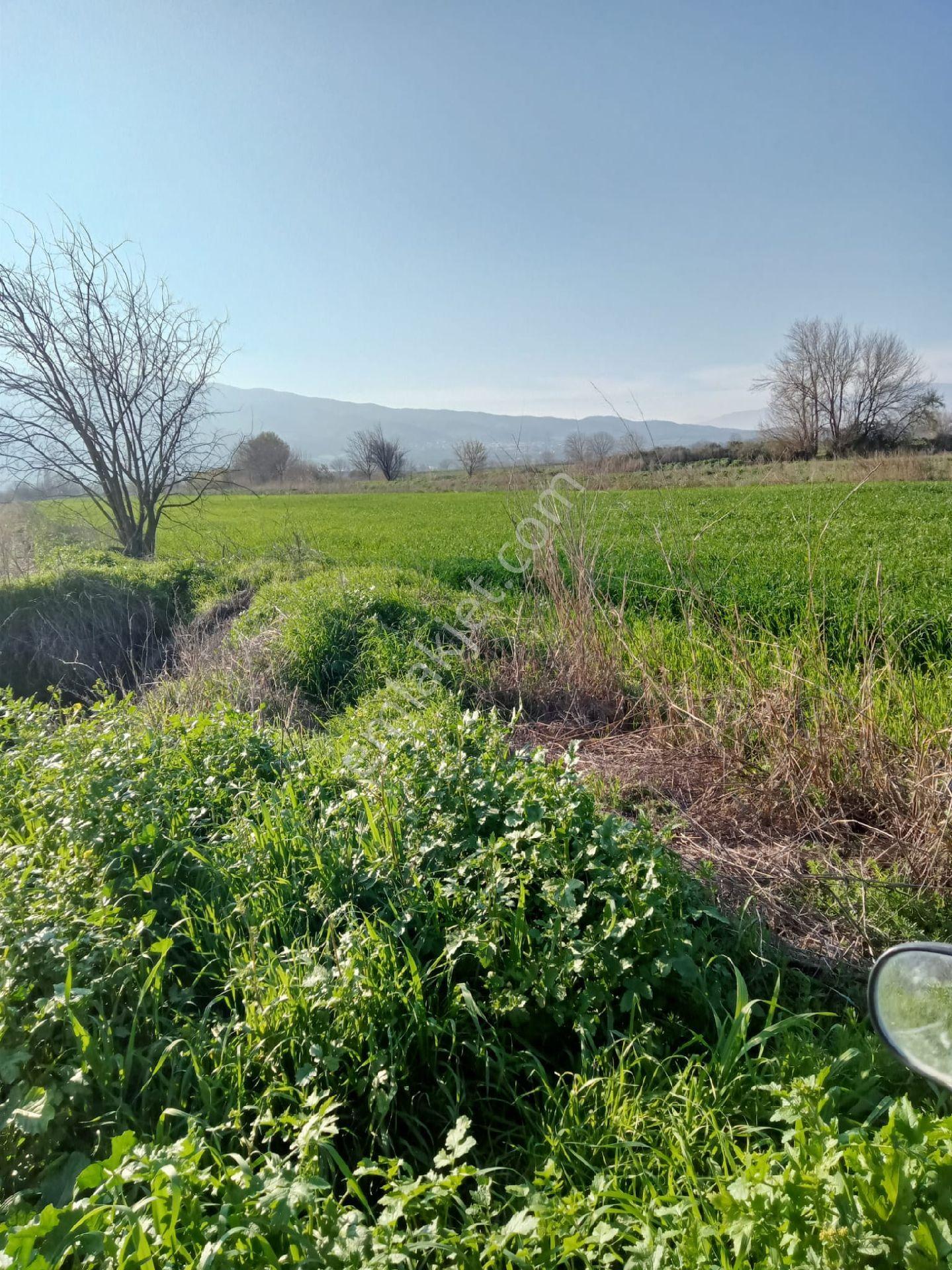 Satılık Tarla