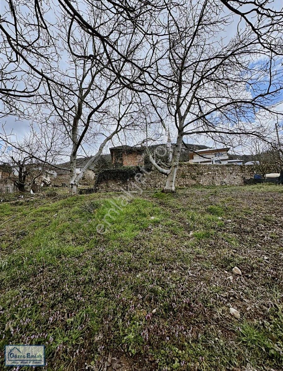 Geyve Ceceler Konut İmarlı 680m2 Resmi Yollu Arsa - Görsel 6